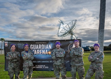 Guardian Arena 23