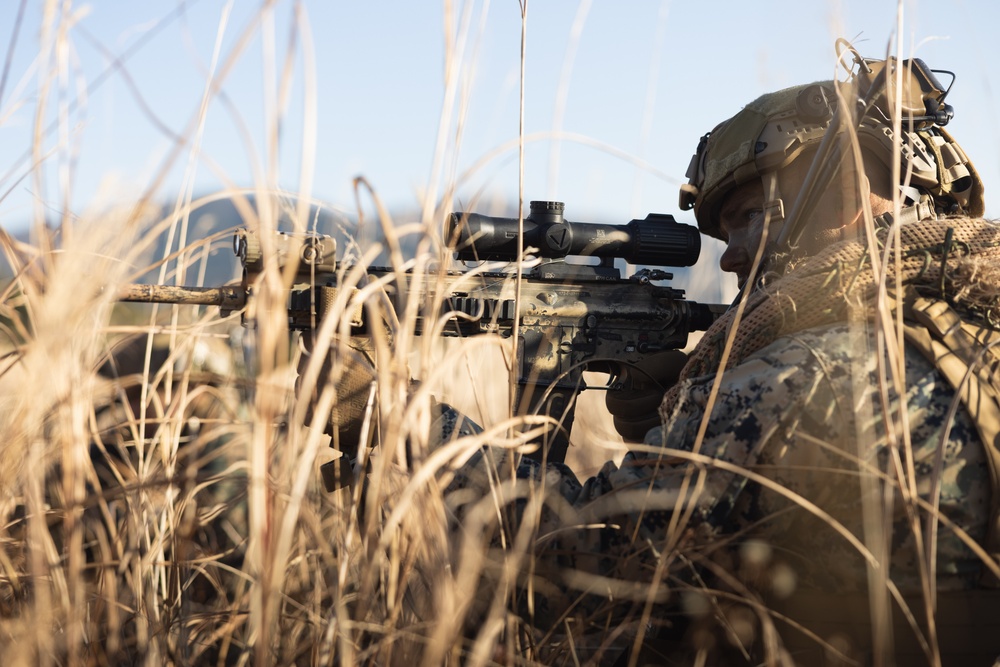 SIFEX 24 | 2/7 Patrol