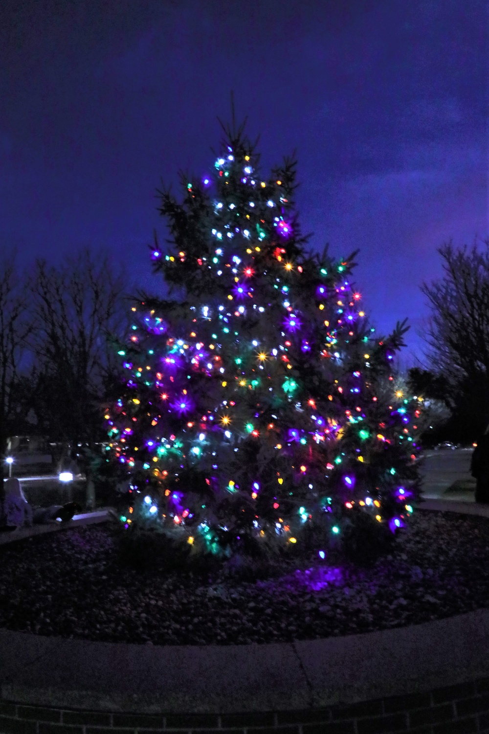 2023 Fort McCoy Christmas Tree Lighting Ceremony