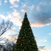 Arnold AFB team members gather for Christmas tree lighting