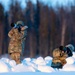 Army paratroopers and Marine Corps aviators conduct joint airborne training at JBER