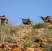 French, U.S. forces train together at Exercise Wakri