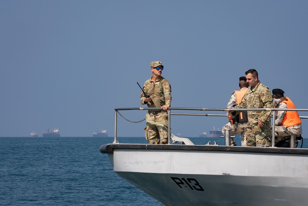 Exercise Bull Shark 24-1