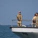 Exercise Bull Shark 24-1