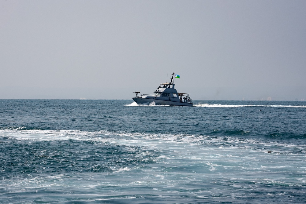 Exercise Bull Shark 24-1