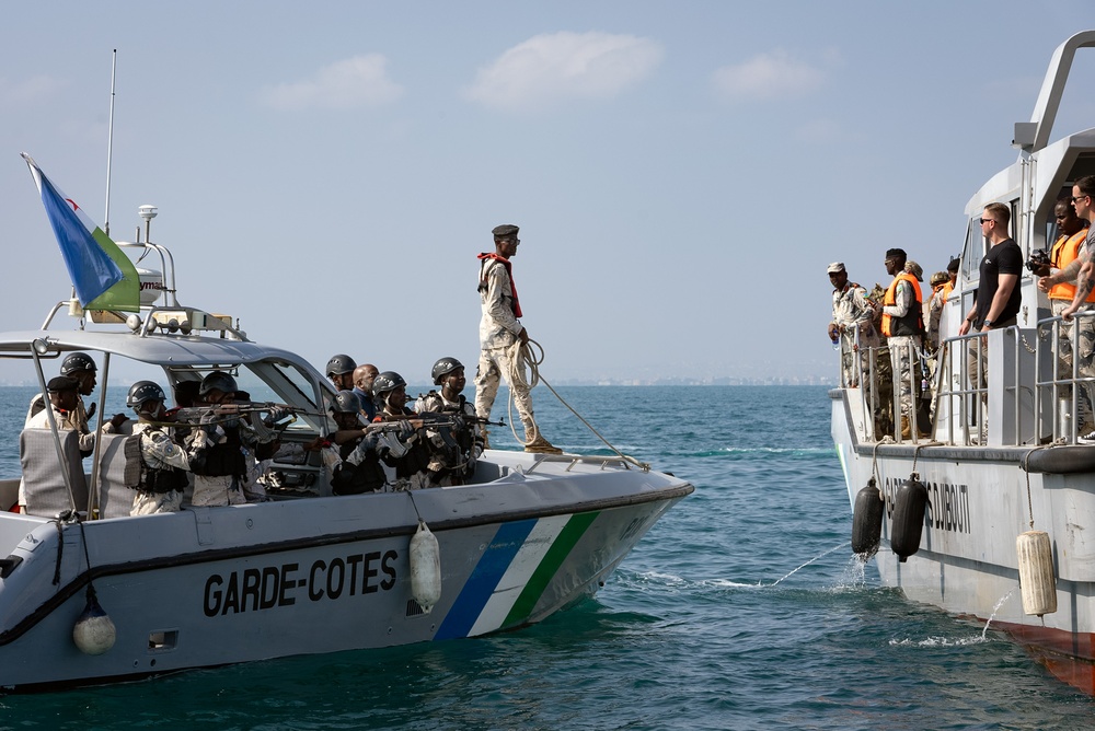 Exercise Bull Shark 24-1