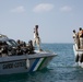 Exercise Bull Shark 24-1