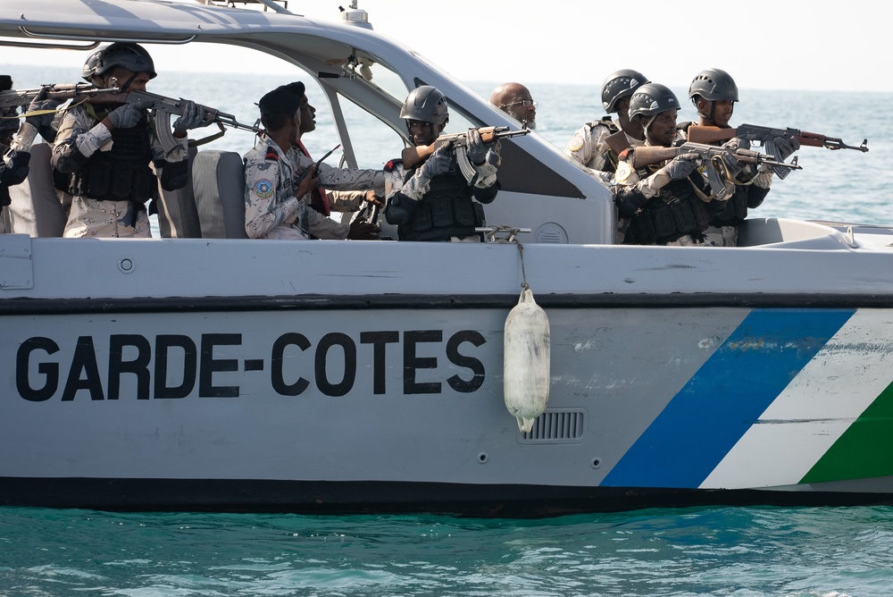 Exercise Bull Shark 24-1