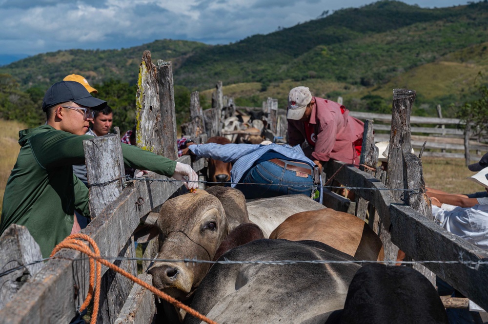 JTF-Bravo vets inoculate, deworm cattle in Humuya