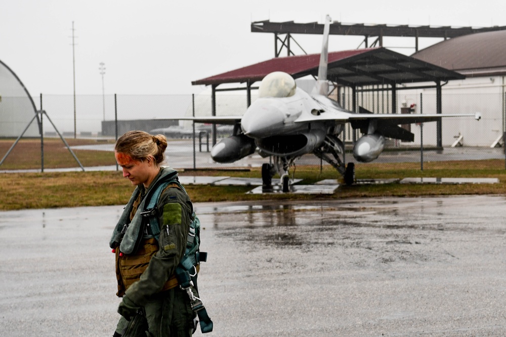 Exercise Fighting Wyvern: Simulated F-16 Crash