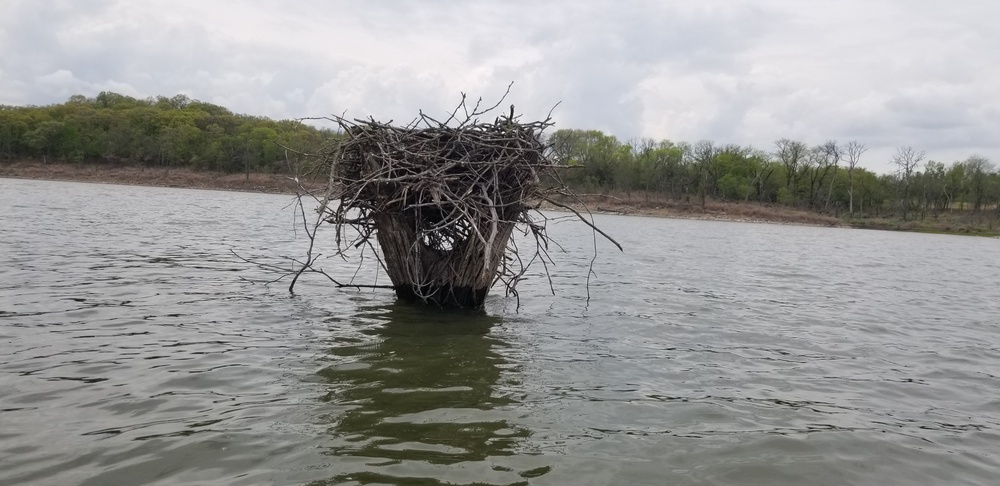 Years of partnership and perseverance leads to historic osprey nesting