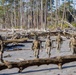 Marine Wing Support Squadron (MWSS) 273 conducts engineer operations at St. Phillips Island