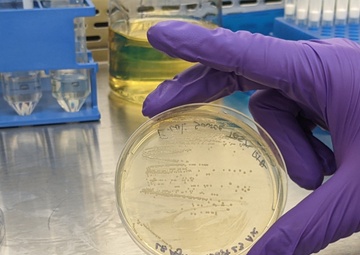 New research study may lead to better flu virus protection for warfighters, public