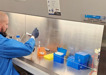 New research study may lead to better flu virus protection for warfighters, public