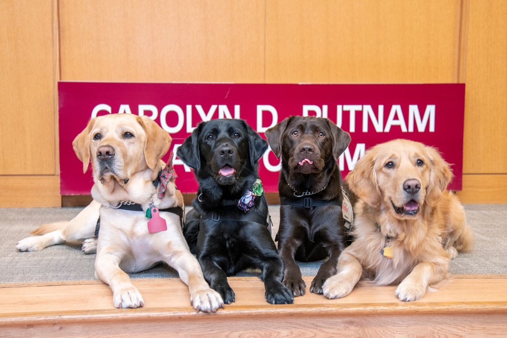 Brooke Army Medical Center commissions two new facility dogs