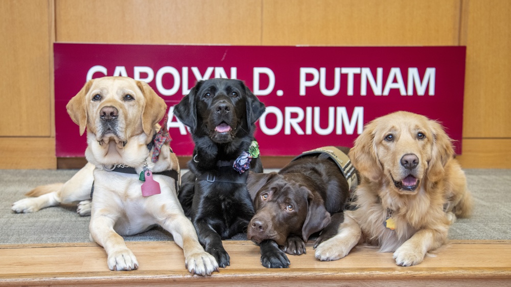 Brooke Army Medical Center commissions two new facility dogs