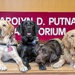 Brooke Army Medical Center commissions two new facility dogs