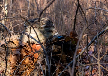 53rd WPW and 33rd AFSAM Sniper Championships