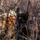 53rd WPW &amp; 33rd AFSAM Sniper Championship
