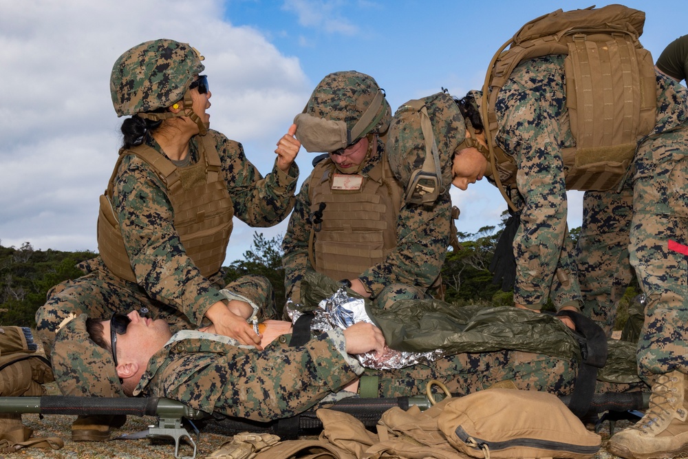 U.S. Marines and Sailors with 31st Marine Expeditionary Unit conduct a Mass Casualty Training Event