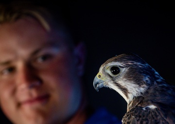 'Nature's fighter pilots' attract attention of future cadets