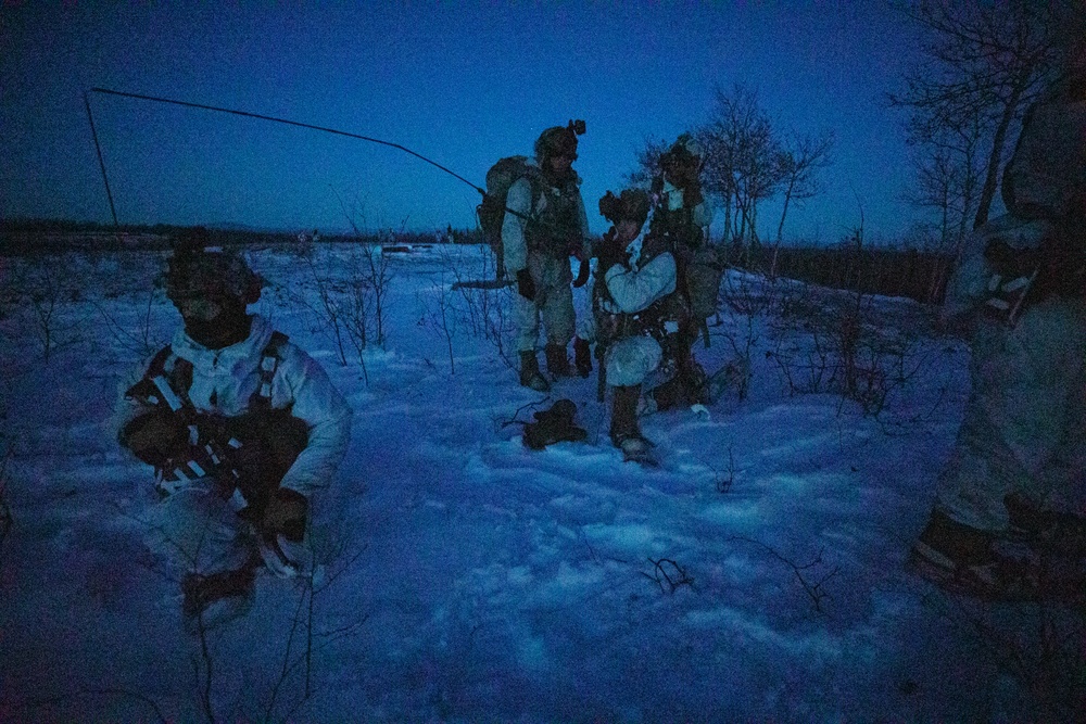 Arctic Angels Communicate During Wolf Valkyrie