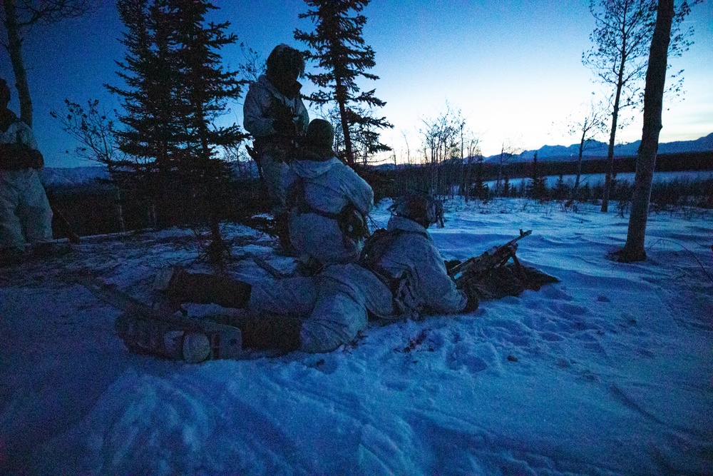 Arctic Angels Set Into Support-by-fire Positions