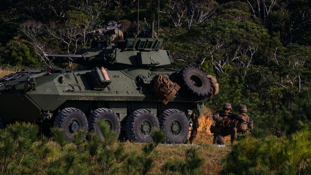 4th Light Armored Reconnaissance conduct Patrolling Tactics Exercise