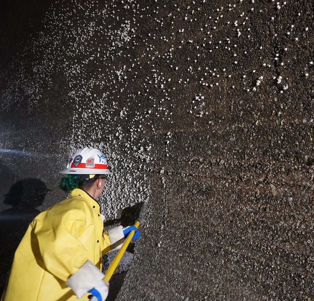 Scraping Barnacles Gives Salmon A Fighting Chance