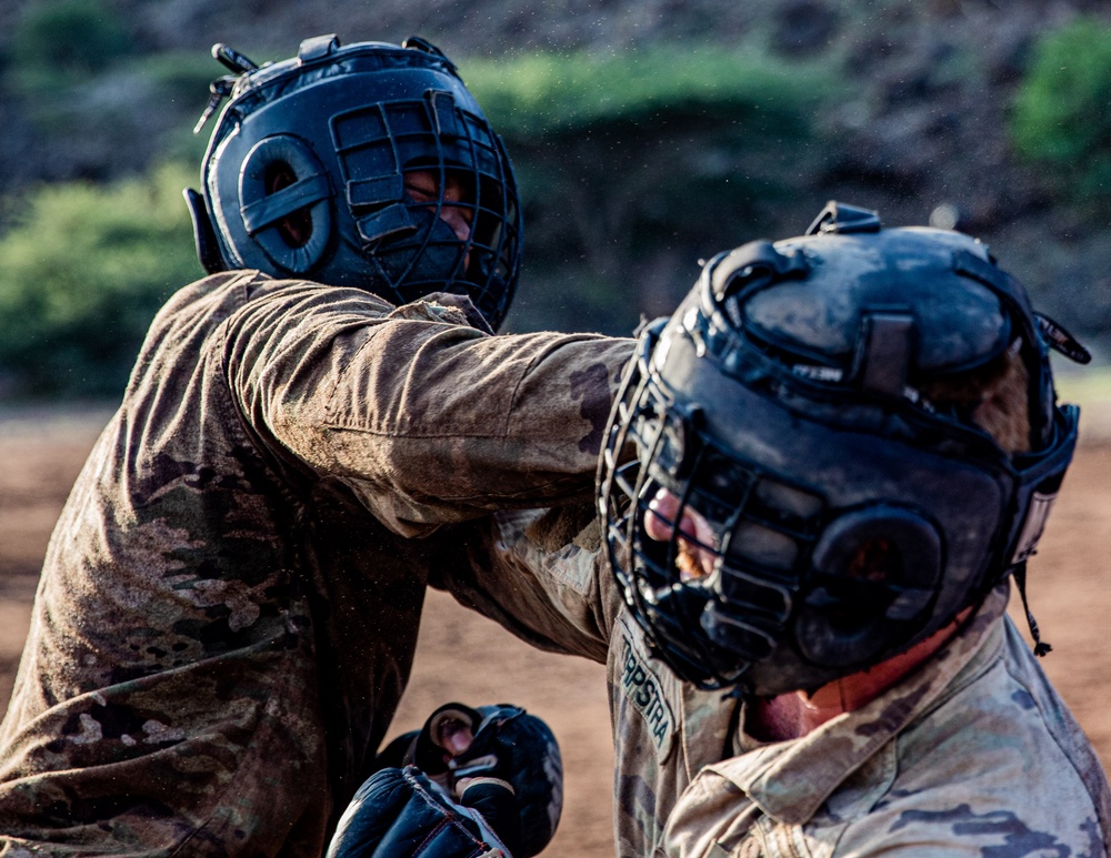 French Desert Commando Course 2023 - Combative