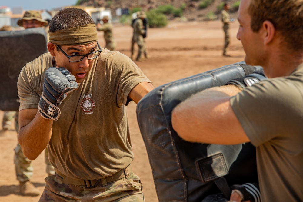 French Desert Commando Course 2023 - Combative