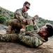 French Desert Commando Course 2023 - Combative