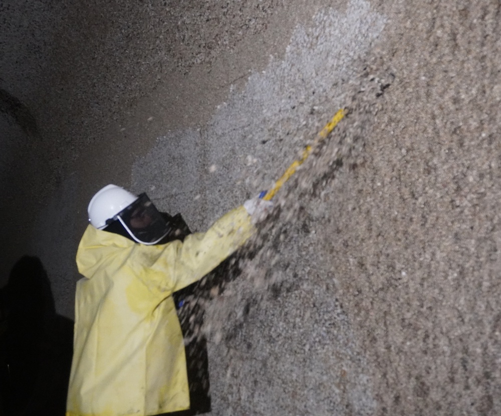 Scraping Barnacles Gives Salmon A Fighting Chance