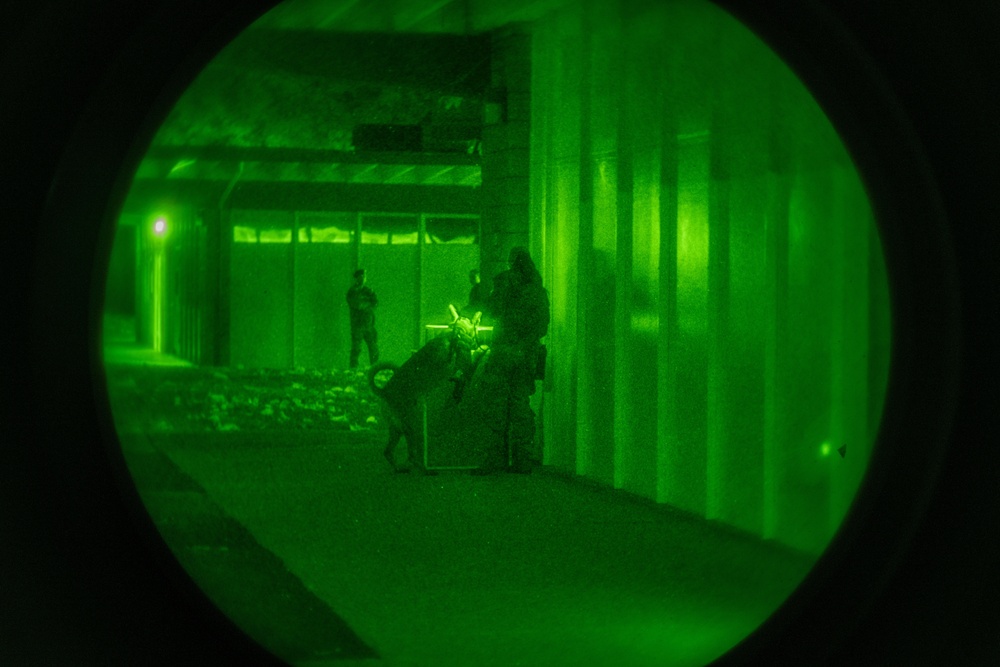 Active Shooter Exercise