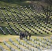 32nd Wreaths Across America Day at Arlington National Cemetery