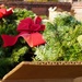 Wreaths Across America event at Yorktown National Cemetery