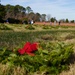 Wreaths Across America event at Yorktown National Cemetery