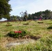 Wreaths Across America event at Yorktown National Cemetery