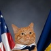 International Cat Day in the Navy!