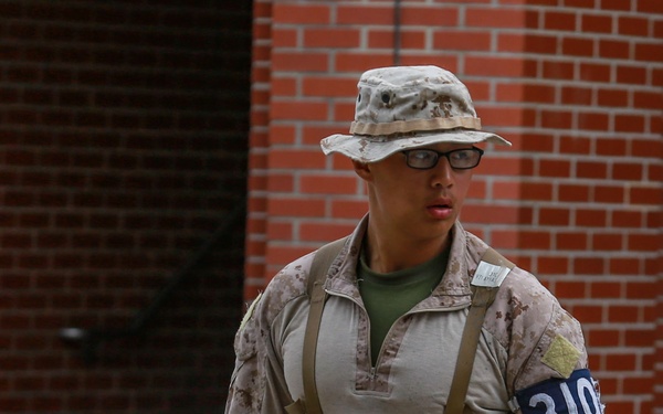 Rct. Vilayvahn Guides Plt. 3107