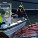 Coast Guard Sector St. Petersburg responds to sunken vessel off Tampa Shrimp Docks