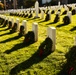 Honoring our Heroes: Wreaths Across America and the California Cadet Corps