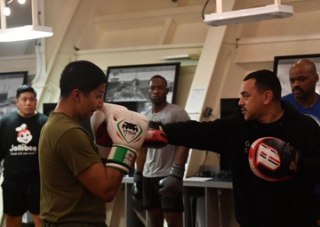 Boxing is Back Onboard Boxer
