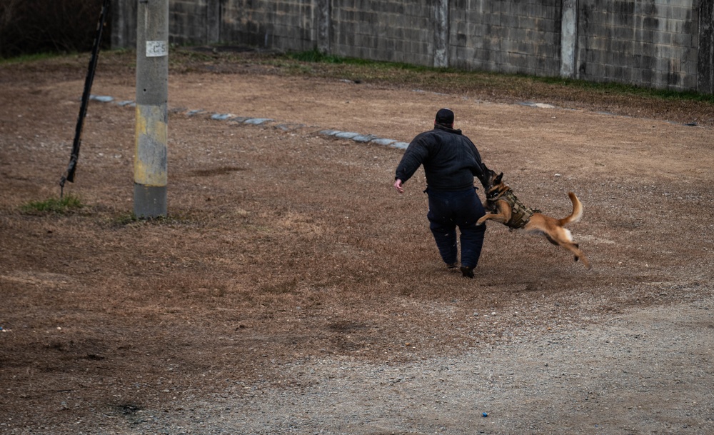 ROK and U.S. special operations personnel strengthen integrated deterrence posture during combined exercise