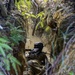 9th ESB completes Jungle Warfare Training