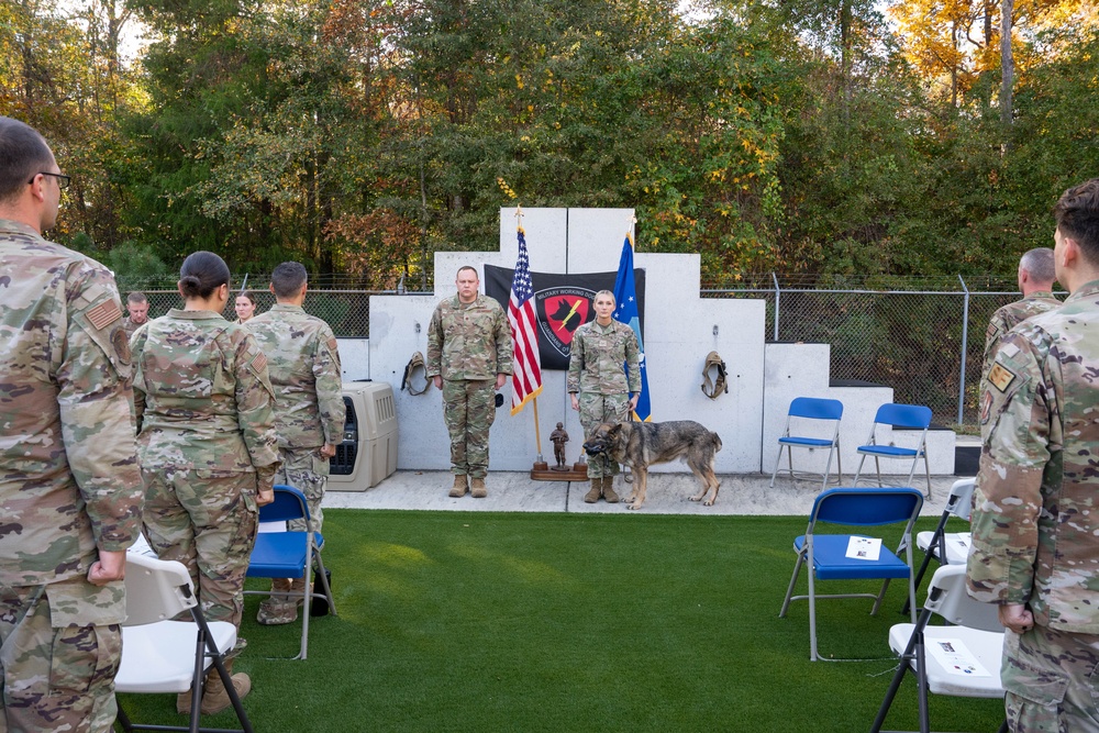 'I just love that dog,' retirement reunites handler, military working dog