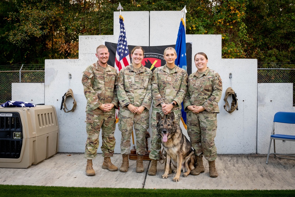 ‘I just love that dog,’ retirement reunites handler, military working dog