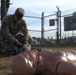 83rd Chemical Battalion Best Soldier Contest