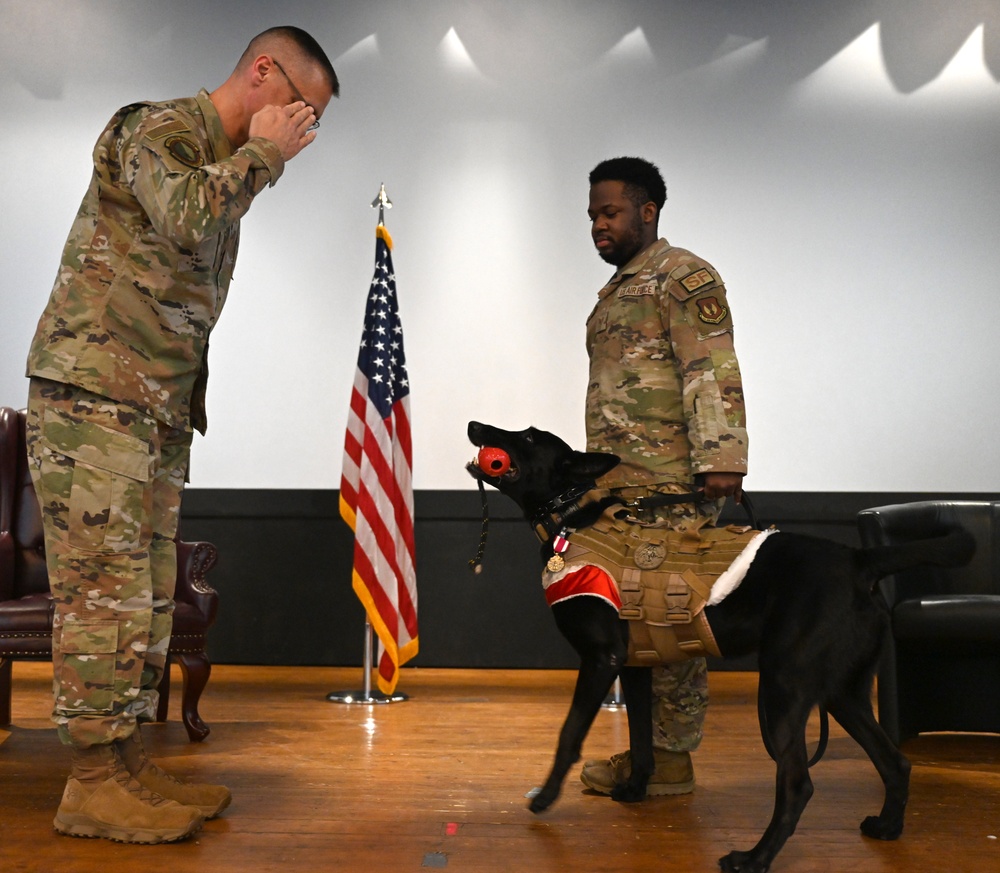 Former RAFM MWD Ukkie retires to reunite with fur-st handler