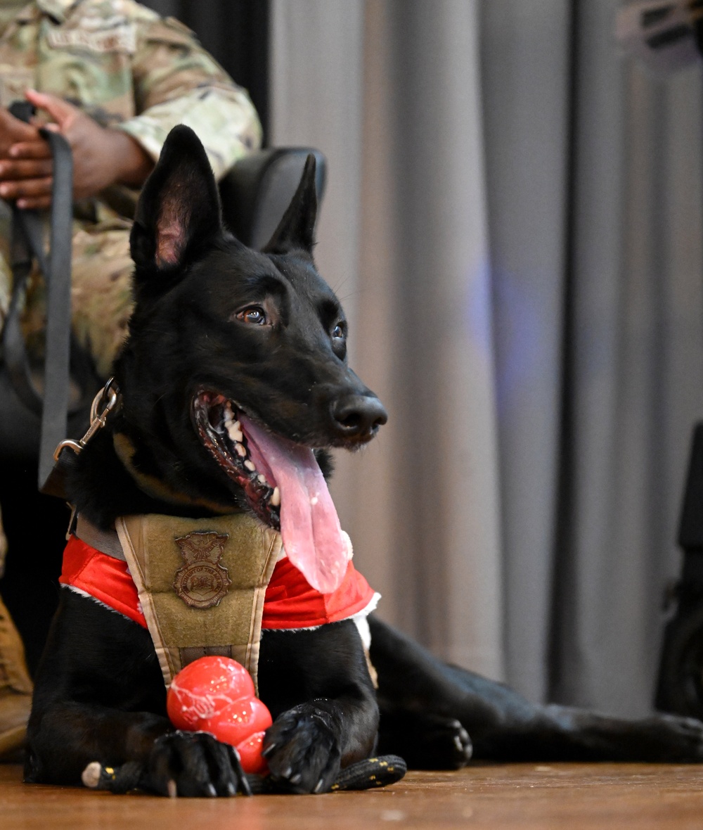 Former RAFM MWD Ukkie retires to reunite with fur-st handler